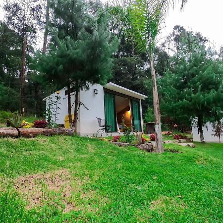 Romanticas Cabanas En Bosque Acaxochitlán Eksteriør bilde