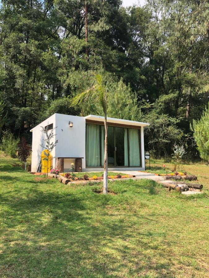Romanticas Cabanas En Bosque Acaxochitlán Eksteriør bilde