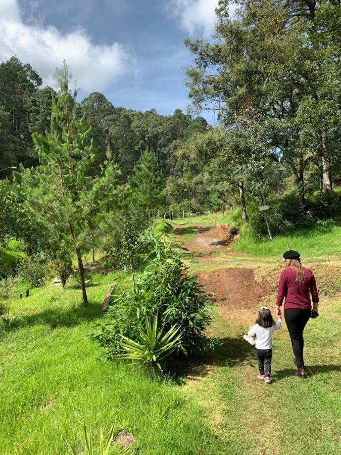 Romanticas Cabanas En Bosque Acaxochitlán Eksteriør bilde