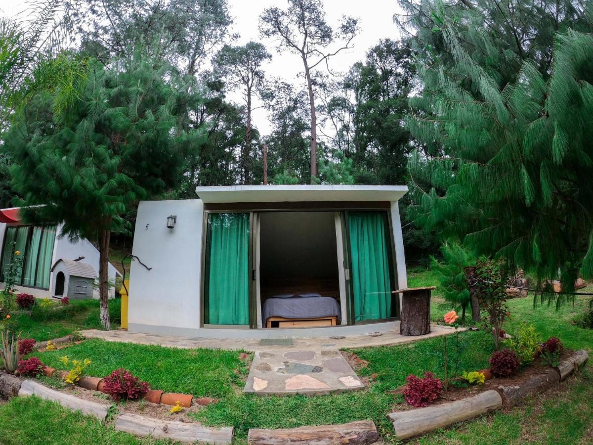 Romanticas Cabanas En Bosque Acaxochitlán Eksteriør bilde