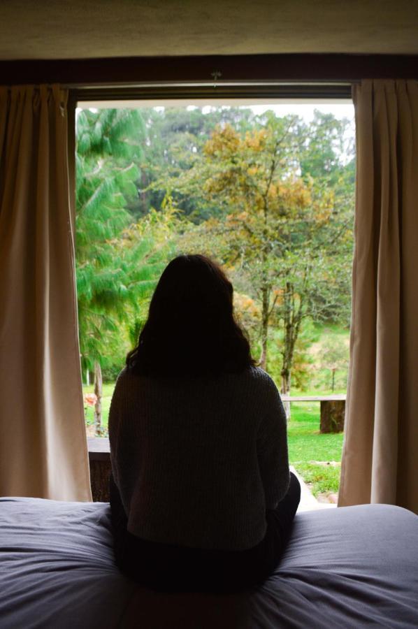 Romanticas Cabanas En Bosque Acaxochitlán Eksteriør bilde