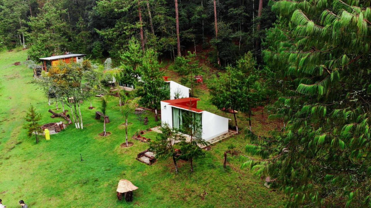 Romanticas Cabanas En Bosque Acaxochitlán Eksteriør bilde